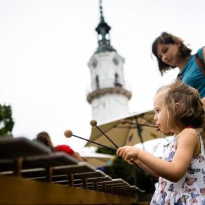 ©Pesthy Márton -IMG_2095_